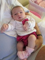 /album/galeria-de-fotos/modelo-petit-gnou-jpg1/